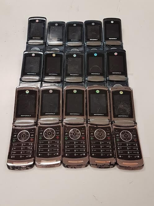 44993282