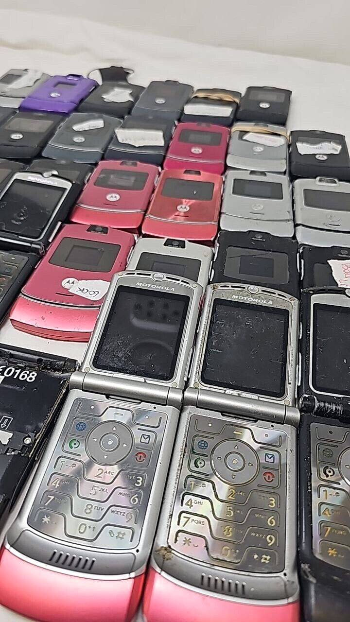 44992005