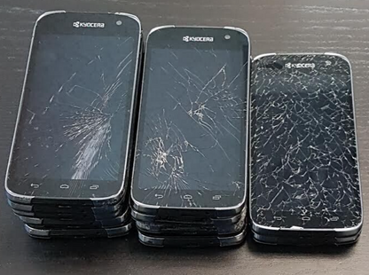 44990732