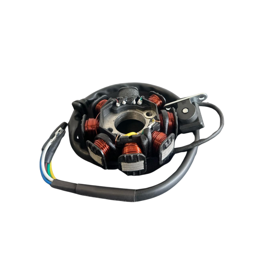 8 Coil Ignition Stator for Standard Motorcycle Moped Scooter 50cc and 150cc