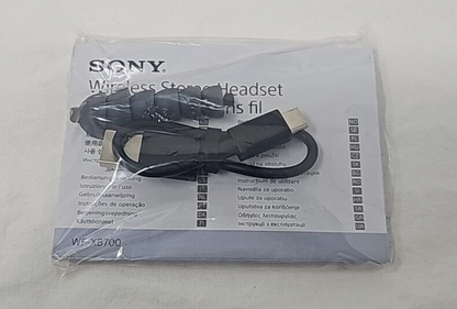 USB-C Cable and Replacement Ear Pads Cushion for Sony WF-XB700 Earbuds Earphones