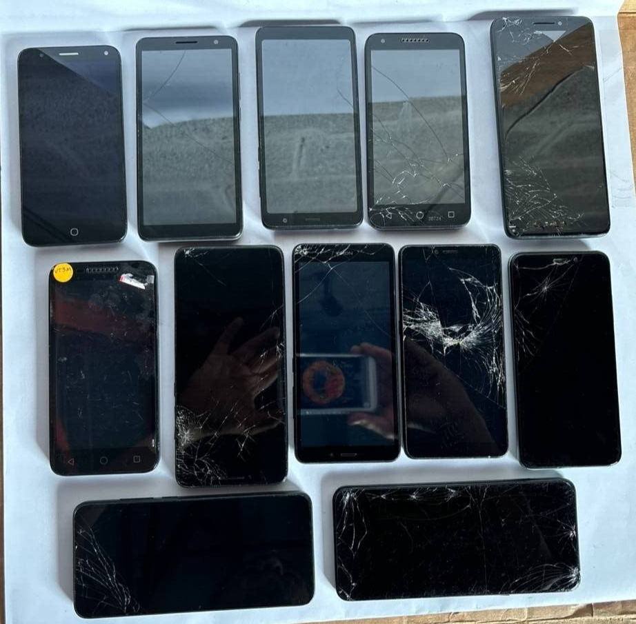 44995006