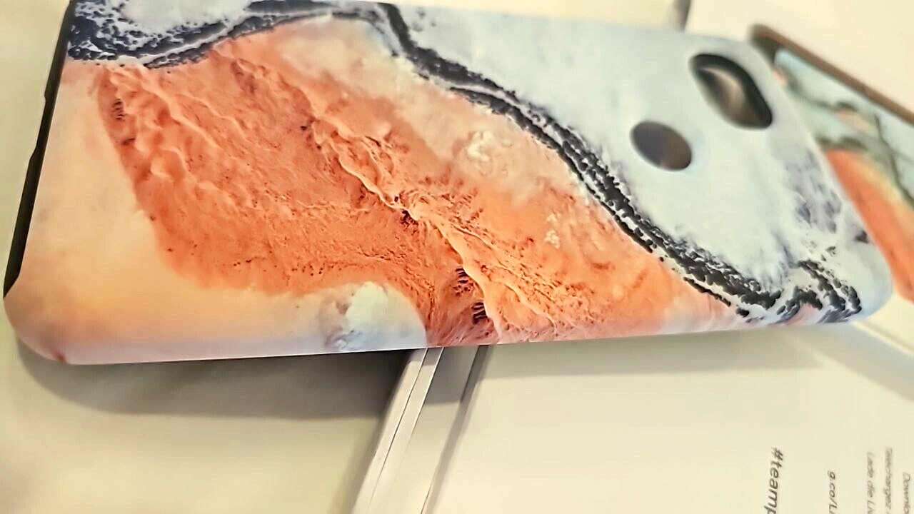 44993490