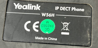 44991900