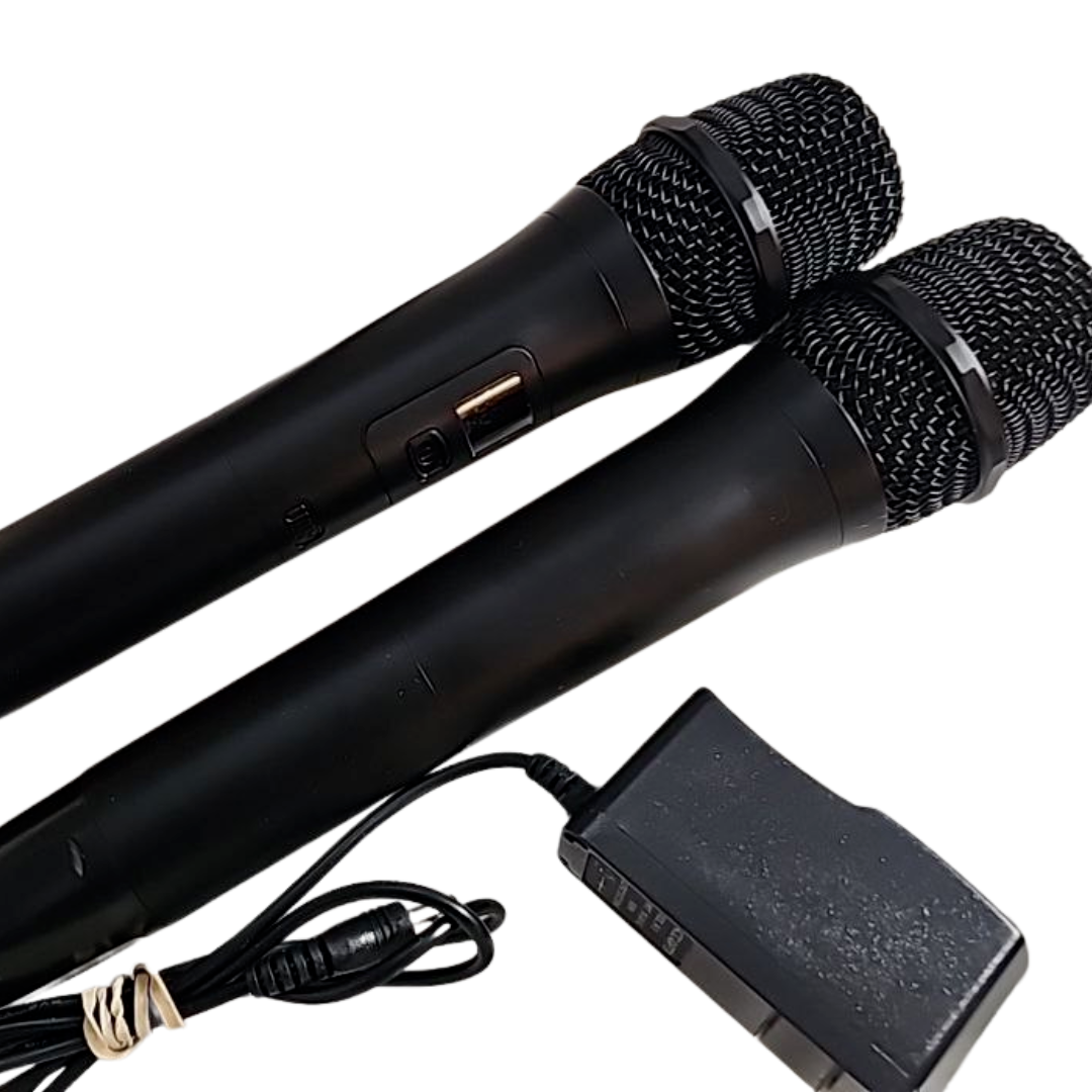 2 Mic Professional Wireless Dual Microphone Cordless Handheld NO RECIEVER READ