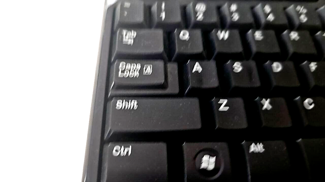 44995605