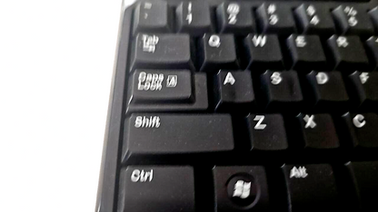 44995605