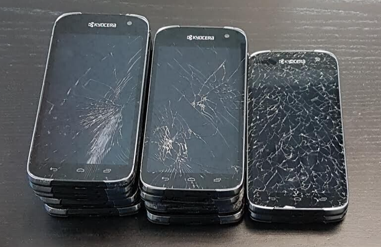 44990732